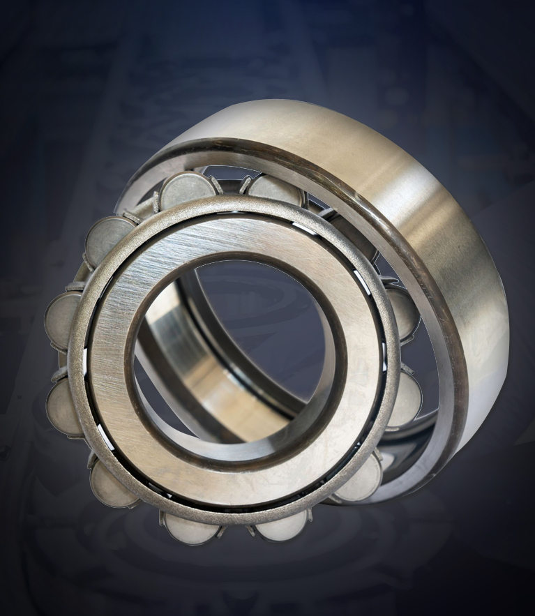 Cylindrical Bearings Supplier in Delhi NCR INdia
