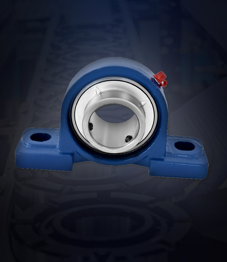 Pillow Block Bearings Supplier in Delhi NCR
